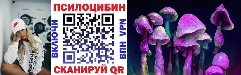 Купить где  Лахденпохья  Галлюциногенные грибы Psilocybine cubensis 